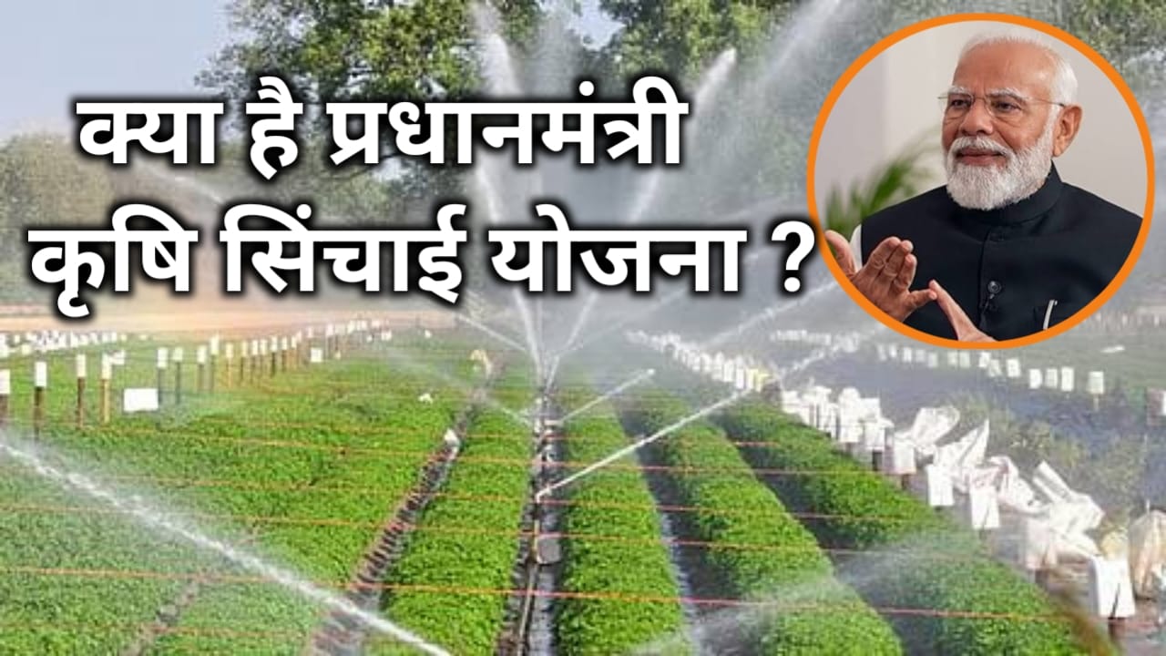 WhatsApp Image 2025-07-24 at 4.46.44 PM